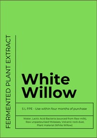 Fermented plant extracts