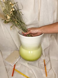 Image 2 of Pastaga