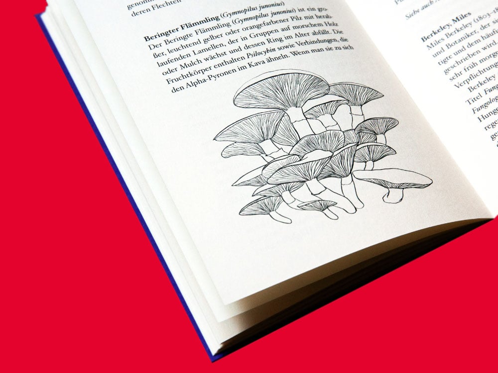 Image of BUCH Fungipedia - Die erstaunliche Welt der Pilze