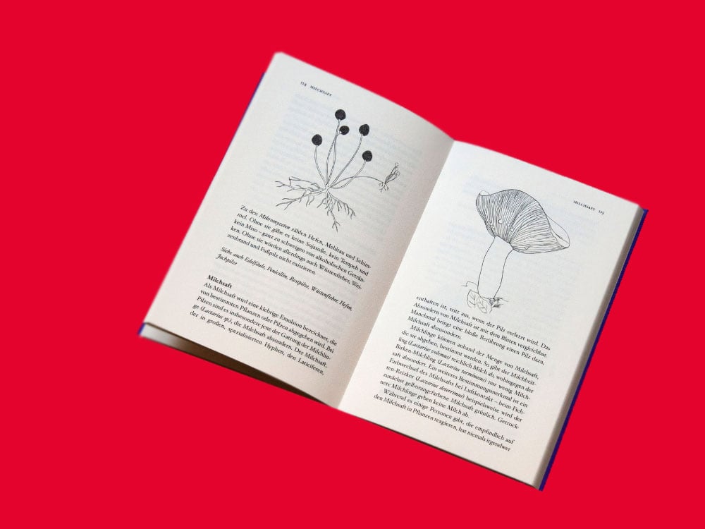 Image of BUCH Fungipedia - Die erstaunliche Welt der Pilze