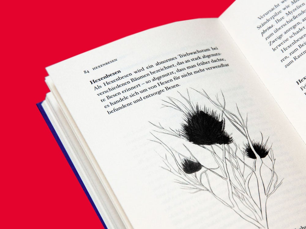 Image of BUCH Fungipedia - Die erstaunliche Welt der Pilze