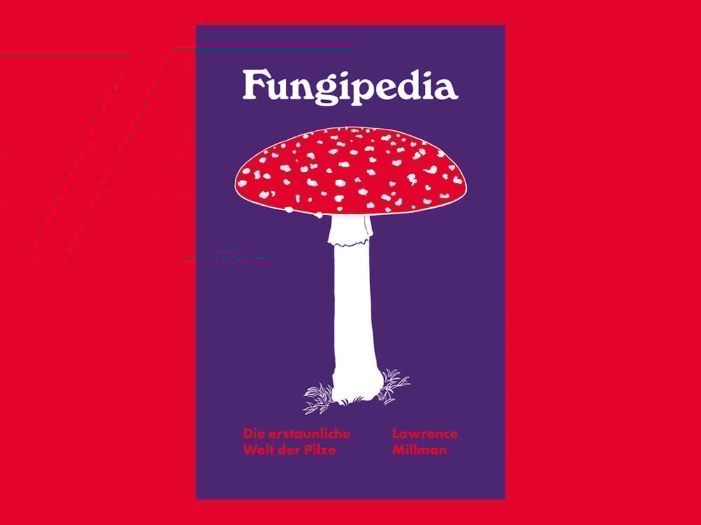 Image of BUCH Fungipedia - Die erstaunliche Welt der Pilze