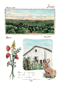 Olivos de Jaén