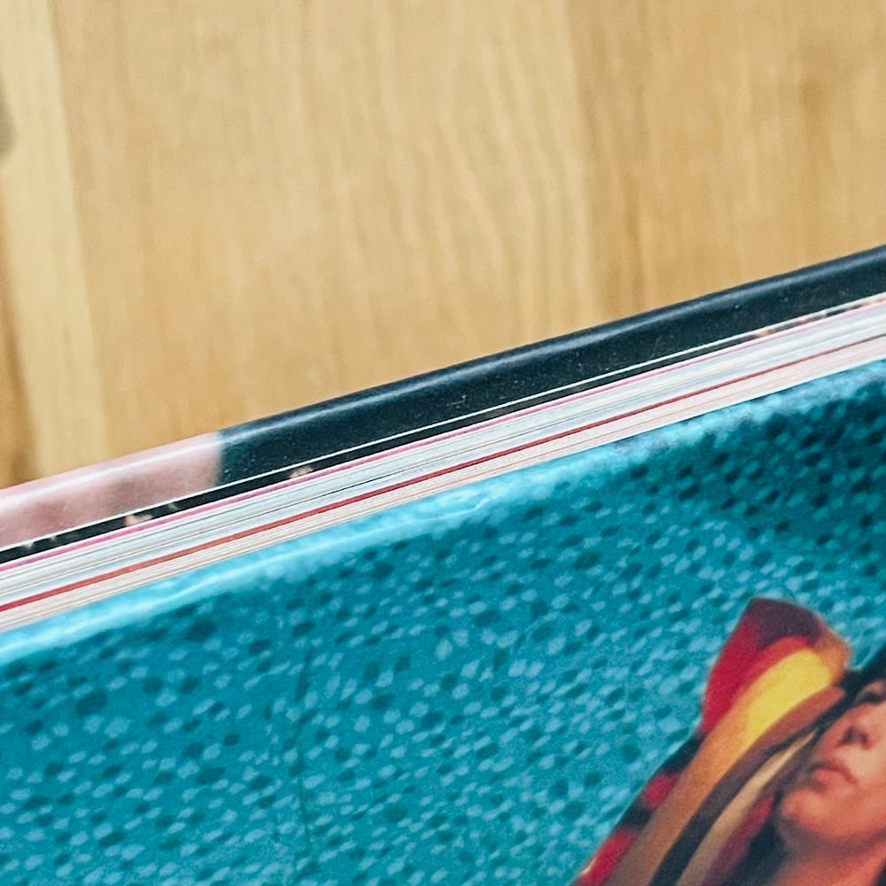 MODEST) BOOKS — (Sofia Coppola)(The Virgin Suicides Photo Book) MODEST) BOOKS — (Sofia Coppola)(The Virgin Suicides Photo Book)