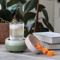 Image 2 of Matcha Latte 2-In-1 Classic Fragrance Warmer by Candle Warmers
