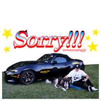 Image 1 of Sorry Star Slap