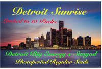 Detroit Sunrise (Limited to 10 packs)