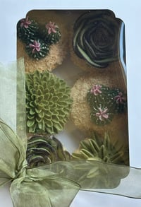 Image 1 of Standard Box