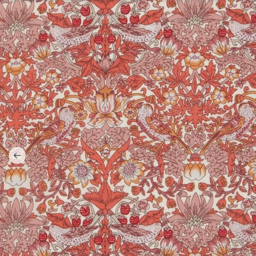 Image of STRAWBERRY THEIF SPRING ( D )