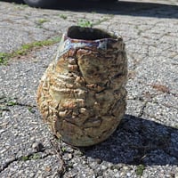 Image 2 of A Vase of Fire and Mud