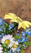 Forget-Me-Not