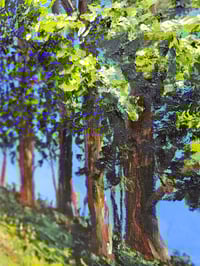 Image 3 of - Summer Around The Corner -