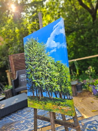 Image 2 of - Summer Around The Corner -