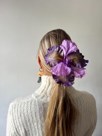 Image 2 of violet iris claw