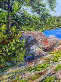 Image 2 of - Haliburton Moss -