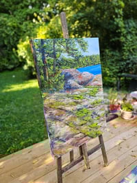 Image 3 of - Haliburton Moss -