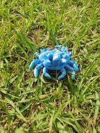 Image 3 of Mini Crystal Crab