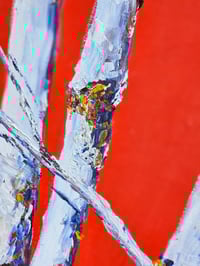 Image 3 of - Red Birch -