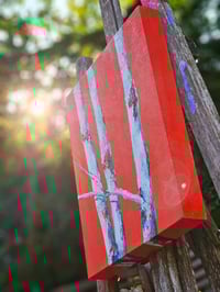 Image 4 of - Red Birch -
