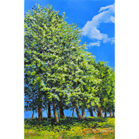 Image 1 of - Summer Around The Corner -