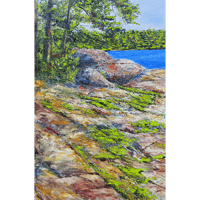Image 1 of - Haliburton Moss -