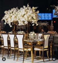 Image 1 of Adult high back dinning  dutchess luxury chair 