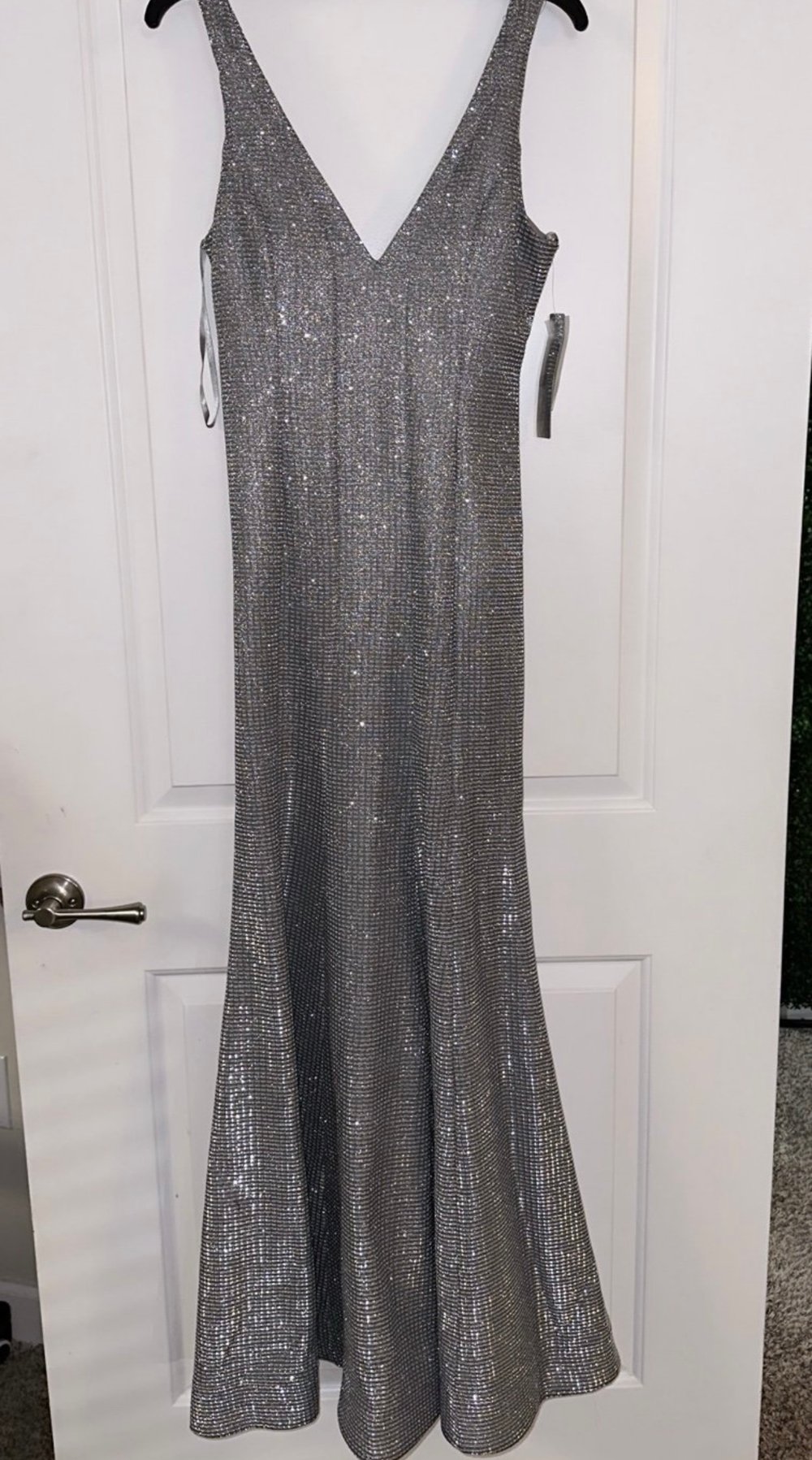 Silver Dress/Gown
