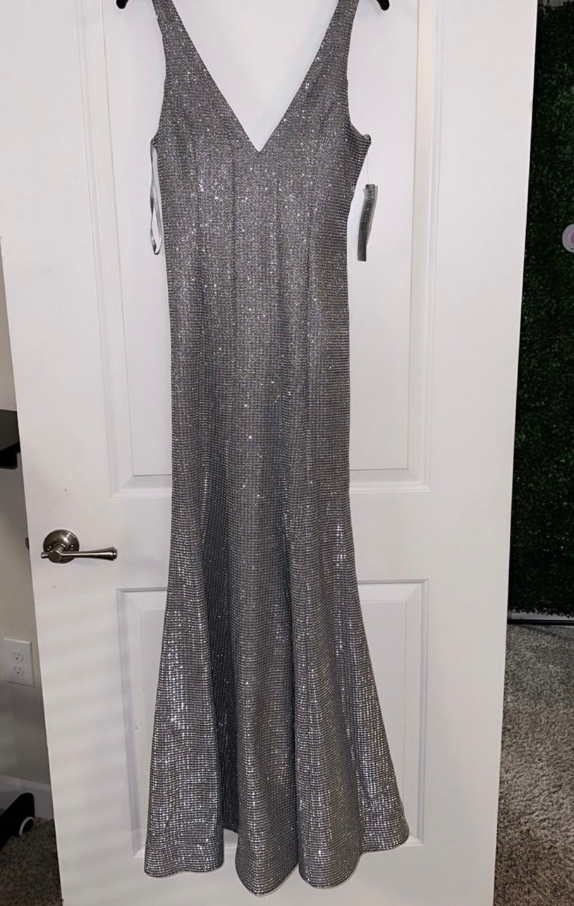 Silver Dress/Gown