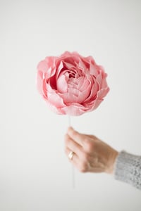 Image 1 of Peonia