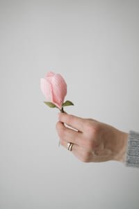 Image 2 of Peonia