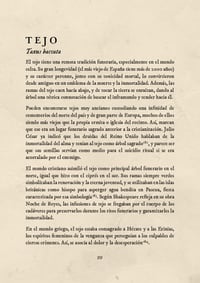 Image 4 of PDF El Jardín de los Muertos: herbalismo mágico tradicional para el culto a los difuntos