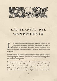 Image 3 of PDF El Jardín de los Muertos: herbalismo mágico tradicional para el culto a los difuntos