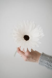 Image 2 of Gerbera