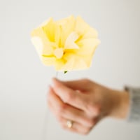 Image 1 of Tulipano