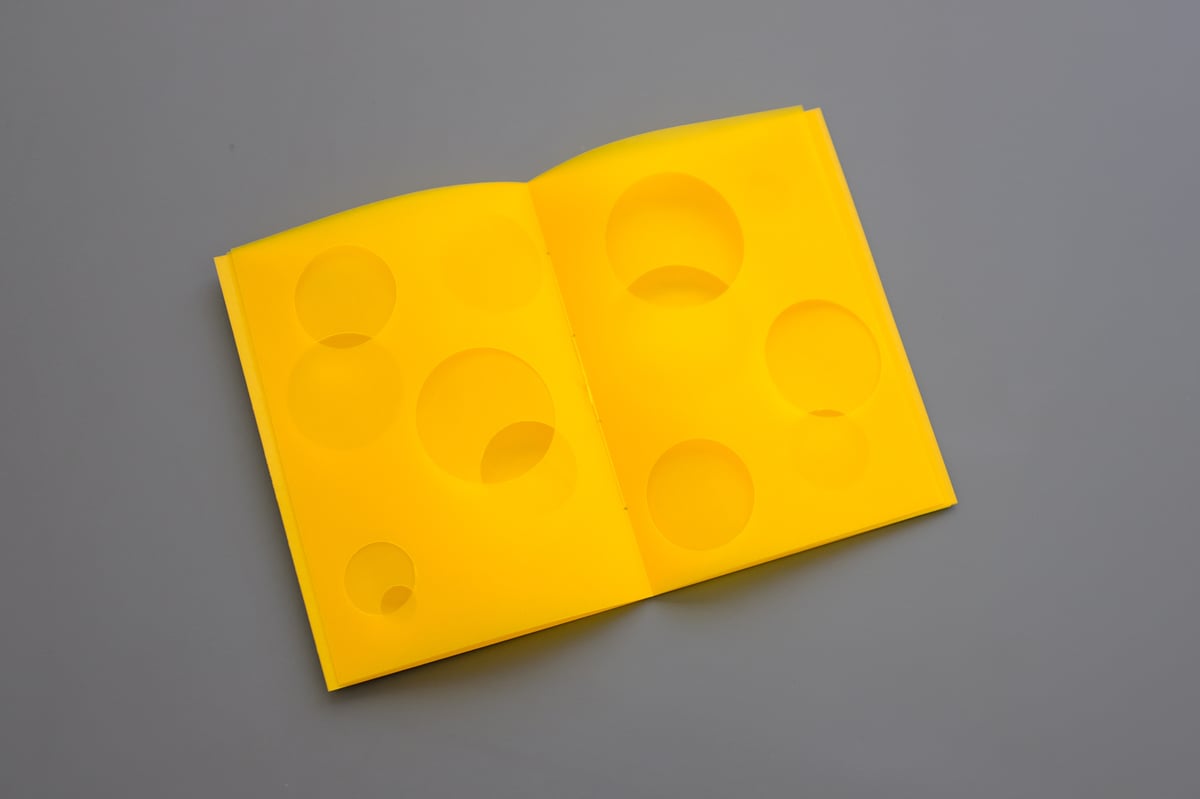 Image of Swiss Cheese Model