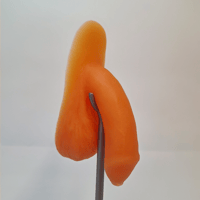 Image 2 of Jelly Peen Packer - Uncircumcised 