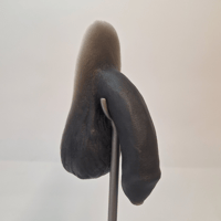 Image 5 of Jelly-Peen Packer - Uncircumcised 