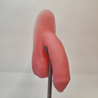 Image 1 of Jelly-Peen Packer - Uncircumcised 