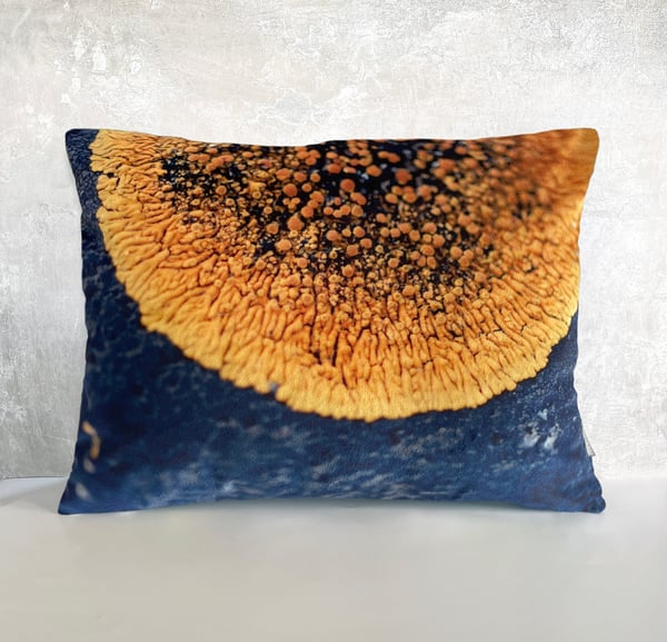 Image of Yellow lichen, printed velvet cushion