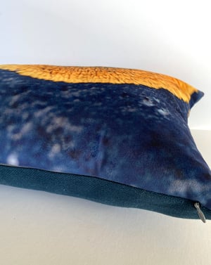 Image of Yellow lichen, printed velvet cushion