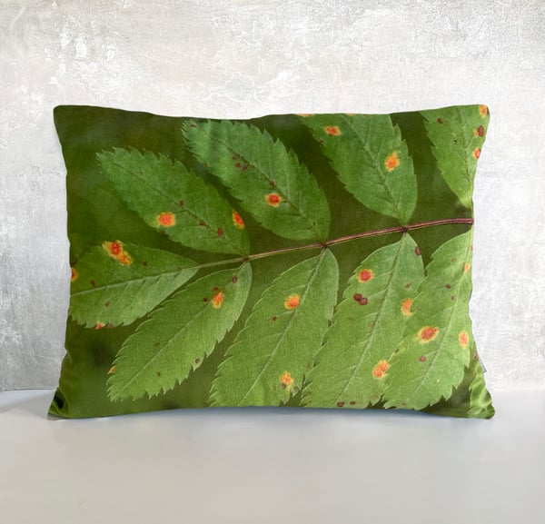 Image of Rowan leaf, printed velvet cushion