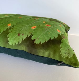 Image of Rowan leaf, printed velvet cushion