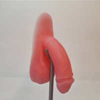 Image 1 of Jelly-Peen Packer - Circumcised 