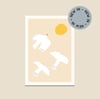 Almost Midday: Zebra Finches