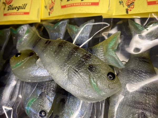 Image of Bob’s Bluegill 2pk (Average Juvie)