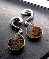 Image 3 of Ammonite Shell Ear Hooks - Ear Hangers/Weights - Stainless Steel for Stretched Ears