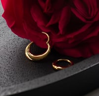 Image 1 of Chunky Septum Clicker - Hinged Segment Ring - ASTM F136 Titanium - Gold/Silver - Piercing 