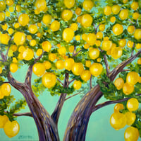 Lemon Tree Canopy Aqua Sky