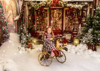 Image 1 of COUNTRY CHRISTMAS STORE  SANTA OR NO SANTA OPTION (Deposit)