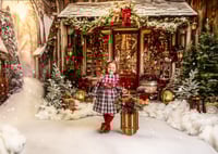 Image 2 of COUNTRY CHRISTMAS STORE  SANTA OR NO SANTA OPTION (Deposit)